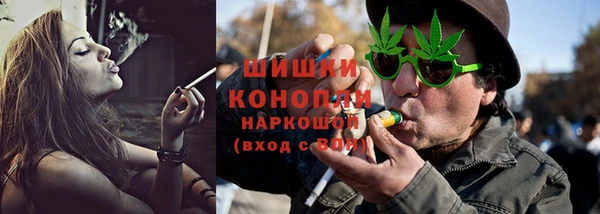 ГАЛЛЮЦИНОГЕННЫЕ ГРИБЫ Заволжье