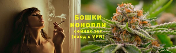 ГАЛЛЮЦИНОГЕННЫЕ ГРИБЫ Заволжье