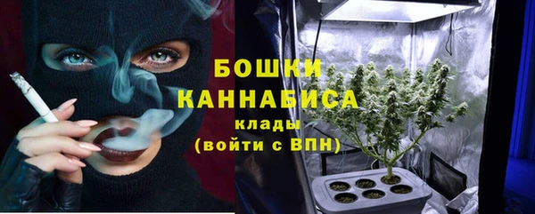 ГАЛЛЮЦИНОГЕННЫЕ ГРИБЫ Заволжье