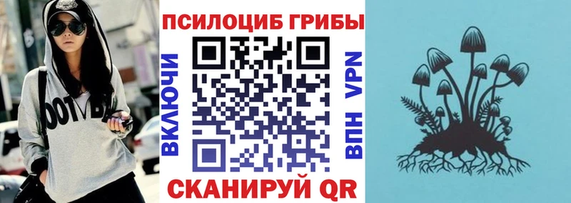 blacksprut tor  Староминская  Галлюциногенные грибы прущие грибы 