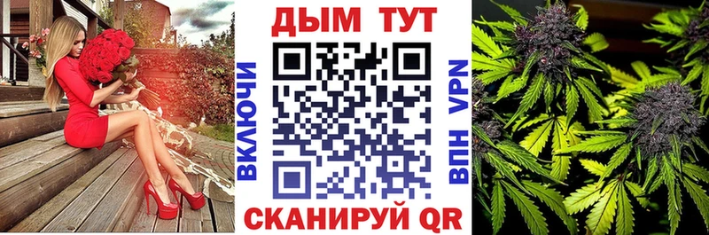 наркошоп  Староминская  Канабис план 